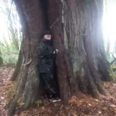 Arboreal Grandmothers Arboreal Grandmothers