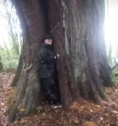 Arboreal Grandmothers