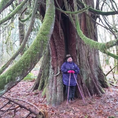 Arboreal Grandmothers Arboreal Grandmothers