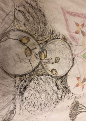 Seeds Resting: Dreaming in the Dark