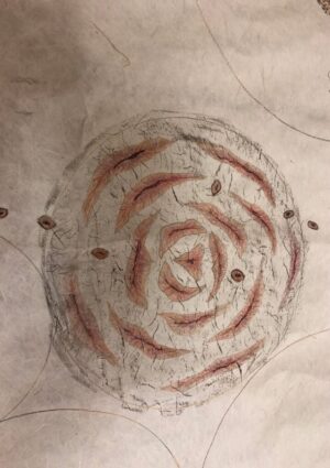 Seeds Resting: Dreaming in the Dark