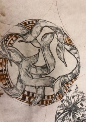 Seeds Resting: Dreaming in the Dark