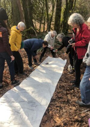 Arboreal Grandmothers