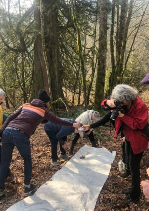 Arboreal Grandmothers