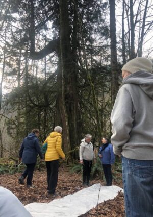 Arboreal Grandmothers Arboreal Grandmothers