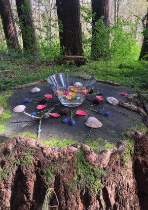 Arboreal Rain Dance Arboreal Rain Dance