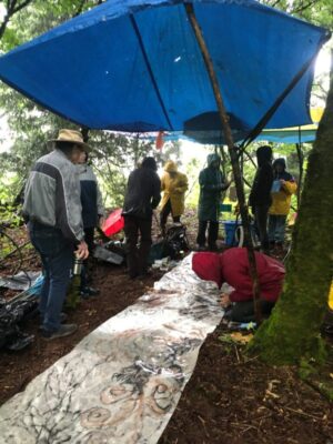 Heart of the Hawthorne