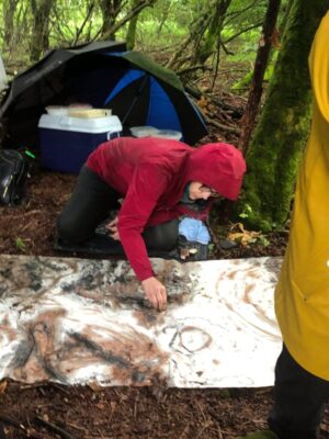 Heart of the Hawthorne