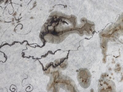 Earthworm Meditation 