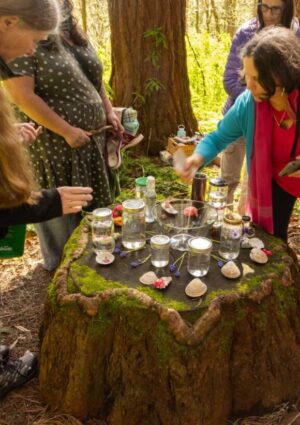 Arboreal Rain Dance Arboreal Rain Dance