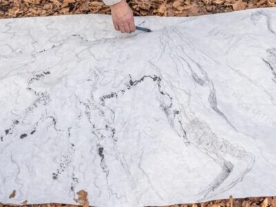 Arboreal Grandmothers Arboreal Grandmothers