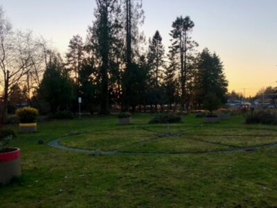 A Celebration of Life for the Trees