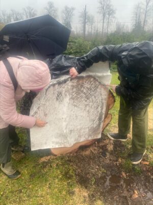 A Celebration of Life for the Trees A Celebration of Life for the Trees