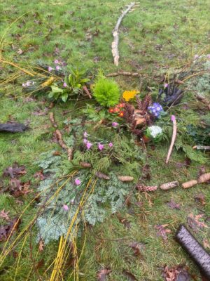 A Celebration of Life for the Trees A Celebration of Life for the Trees